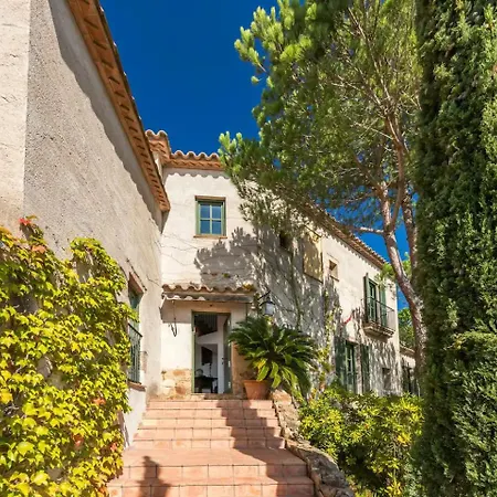 Mas Nou 476 * بلاتجا ذارو