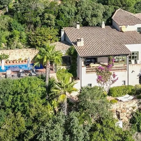 Mas Nou 476 * بلاتجا ذارو